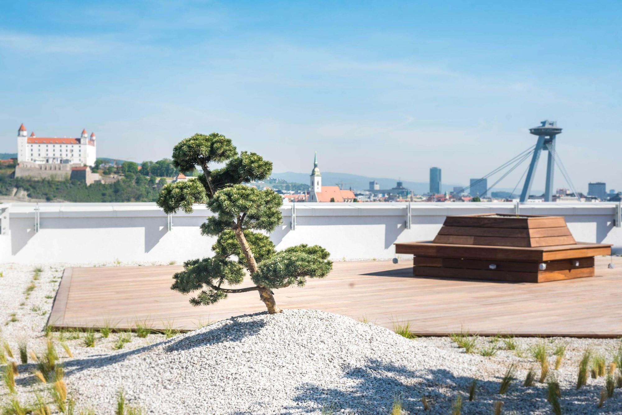 Green Einpark Offices building and terrace